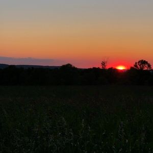 Meet your Posher, Ella